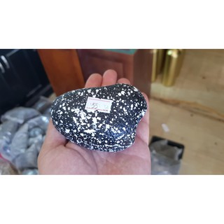 Hàng gốm bầu dục cho Cá, Tôm, Tép cảnh