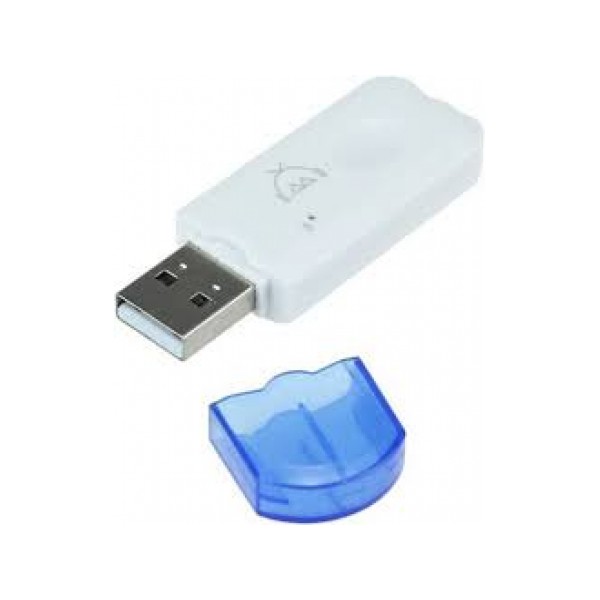 [Giao 2 Giờ] USB Bluetooth Dongle 301