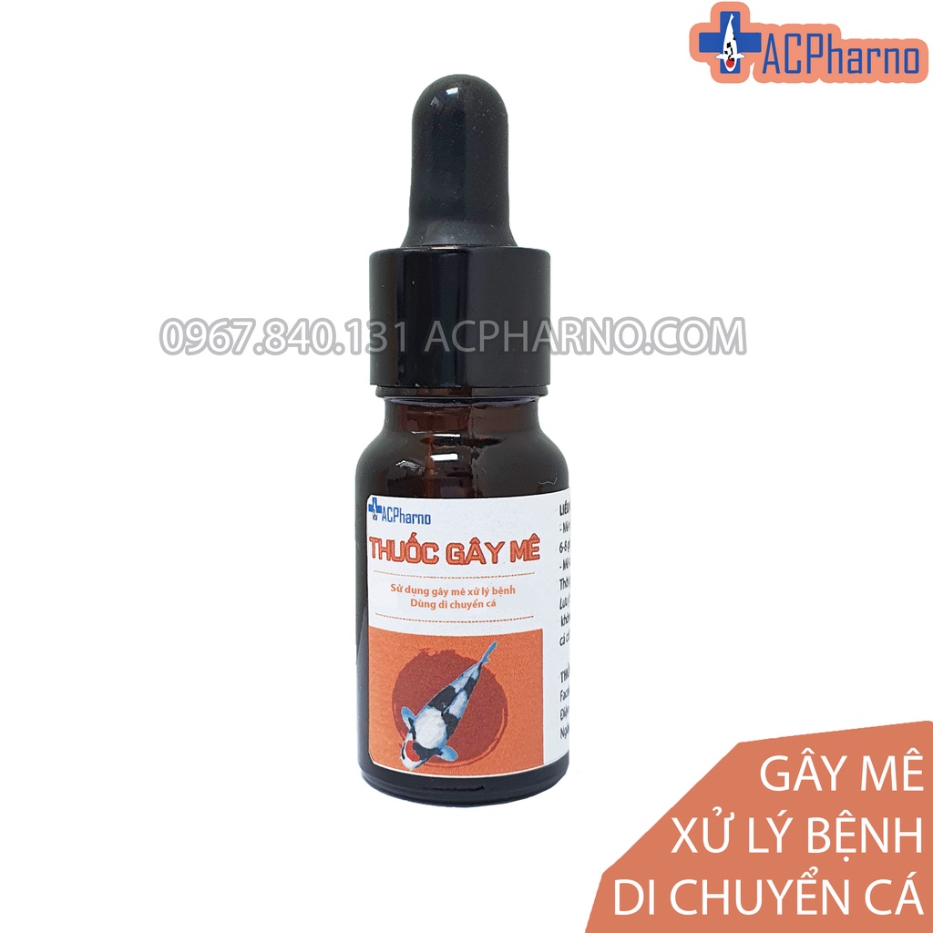 Thuốc mê dành cho cá Koi 10ml ACPharno - Gây mê, ngủ cho cá cảnh, cá vàng, cá chép nhật