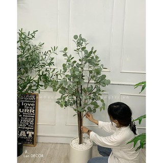 Cây bạch đàn trang trí cao 130cm - LC3050