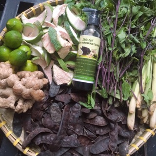 [ SIÊU PHẨM ] DẦU GỘI BỒ KẾT