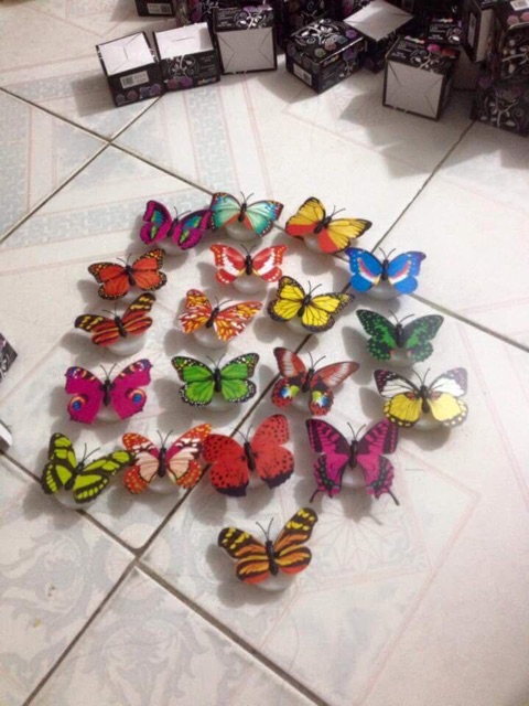 Combo 10 con bướm dạ quang 170k