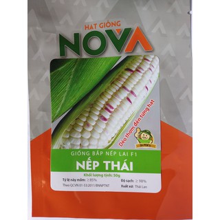 Giống bắp nếp lai F1 NẾP THÁI _ 50 gr (Công ty NOVA)
