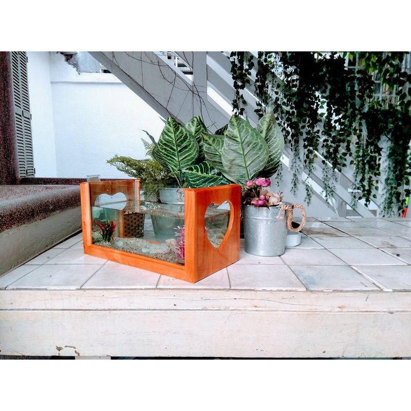 Bể cá size lớn 40cm- bể cá khung gỗ hình trái tim
