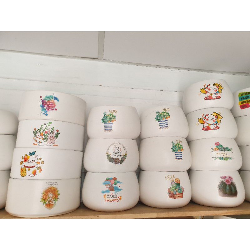 Chậu hạt dẻ bộ trồng sen đá và cây cảnh để bàn