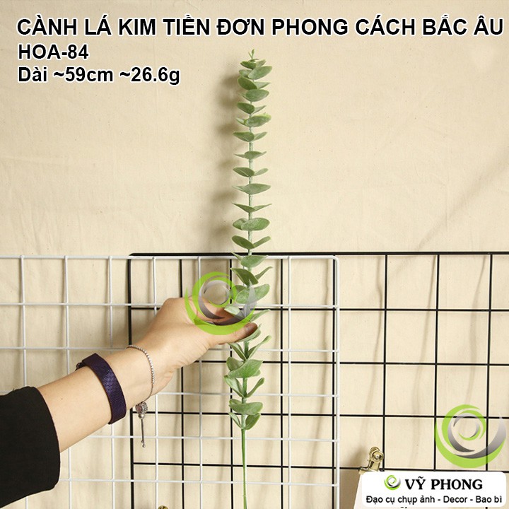 CÀNH LÁ KIM TIỀN ĐƠN DÀI STYLE NORDIC TRANG TRÍ ĐÁM HÌNH ĐẠO CỤ CHỤP ẢNH SẢN PHẨM INS HOA-84