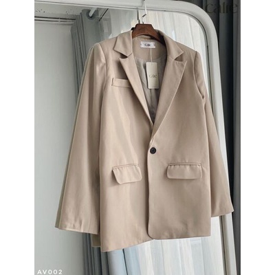 Áo blazer nữ áo vest dáng rộng basic phong cách hàn quốc Calie  AV002