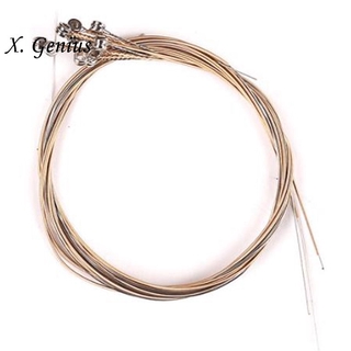 10 Dây Đàn Lyre Harp