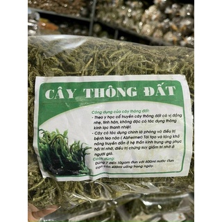 1kg Cây thông đất chống teo não loại 1