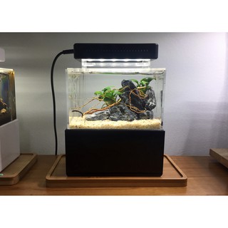 Bể cá mini để bàn Bể thủy sinh mini để bàn 01