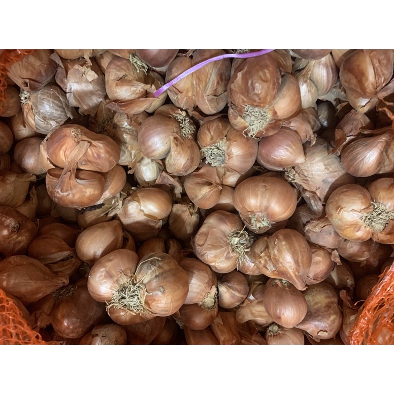 Hành bắc khô  500gr giao trong ngày