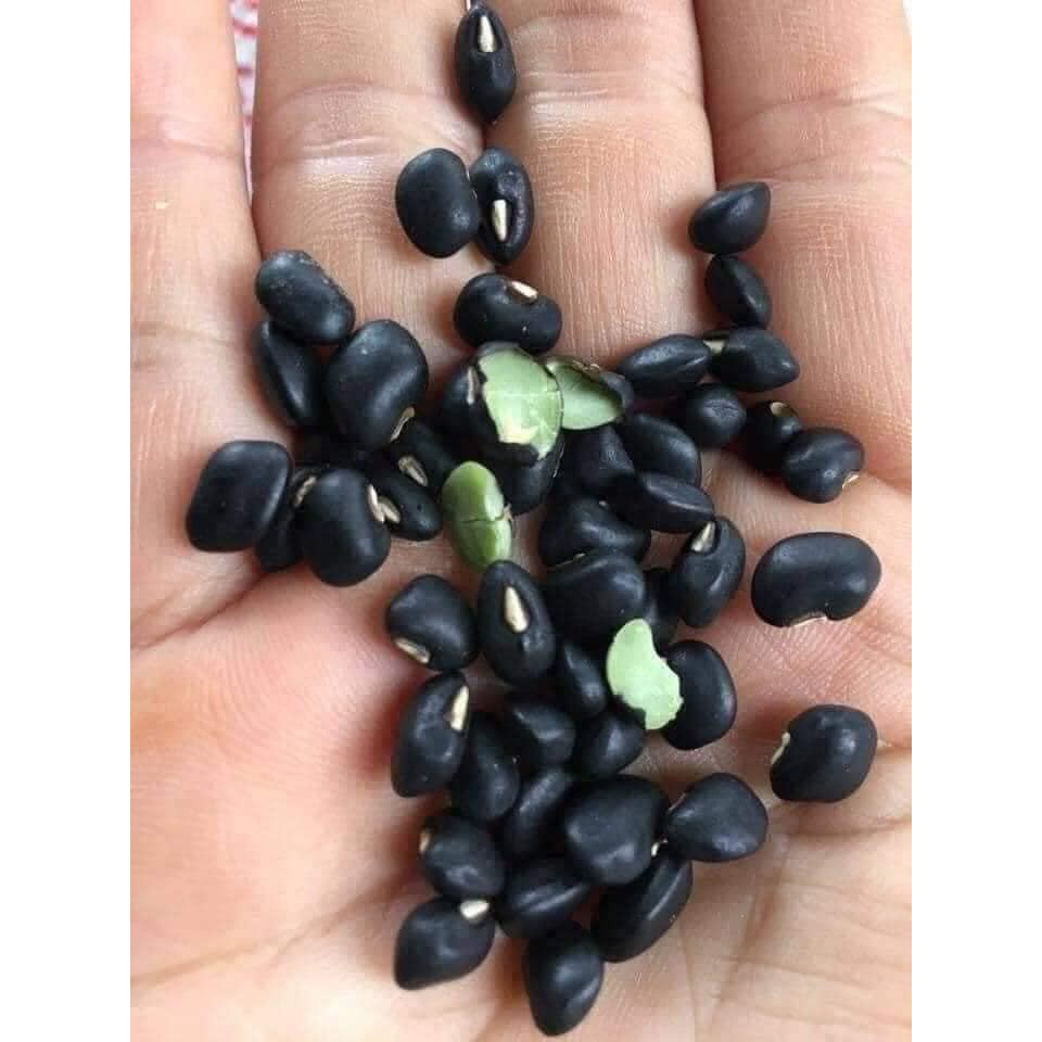 ĐỖ ĐEN XANH LÒNG CHUẨN HÀNG CHỌN LỌC (1KG)