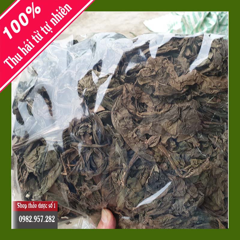 Lá Khôi cây khôi nhung-1KG CTY TD Số 1