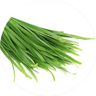 Gạc răng miệng Dr.Papie 30 chiếc 0M+