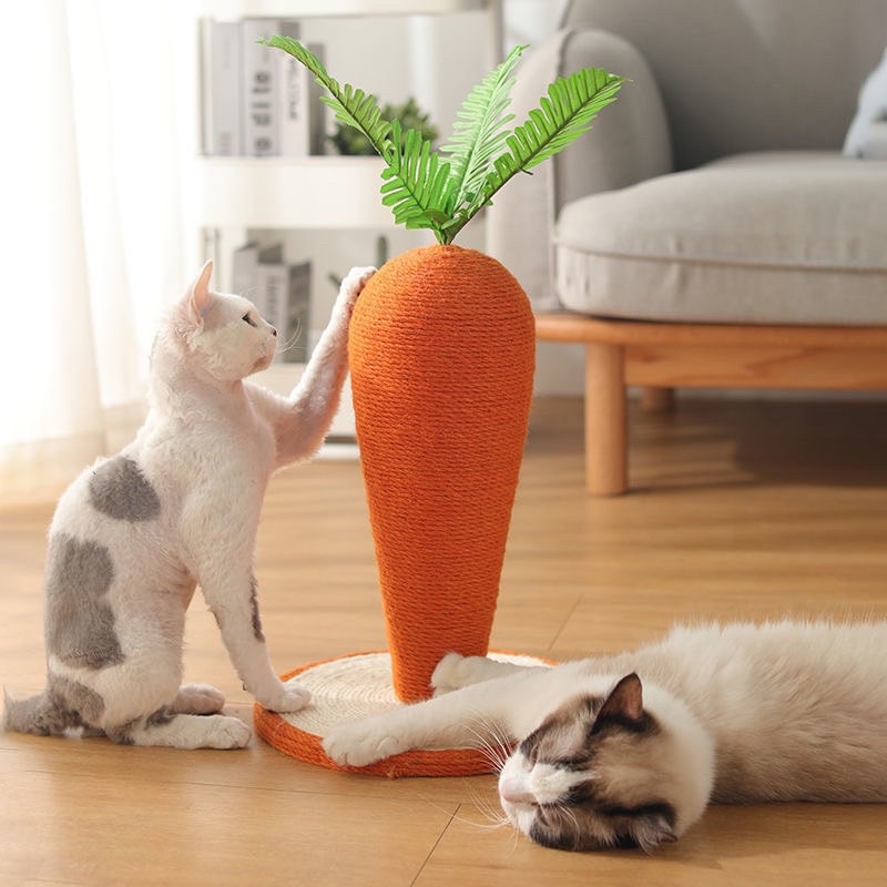 Đồ chơi cào móng hình cà rốt cho mèo