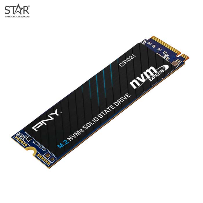 Ổ cứng SSD 256G PNY CS1031 NVMe PCIe Gen3x4 M.2 2280 (M280CS1031256CL)