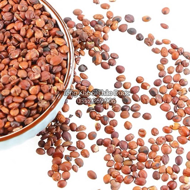 Táo Nhân 1kg (Toan Táo Nhân)