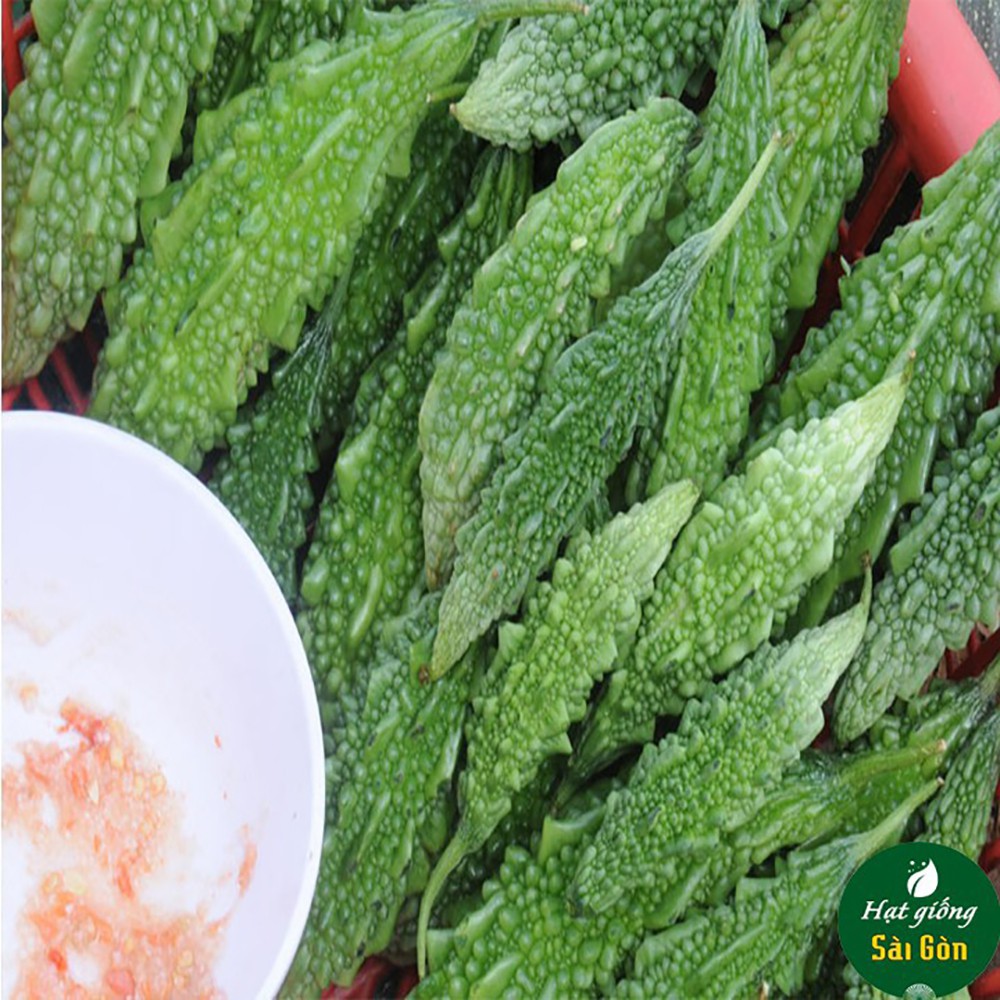 Hạt Giống Khổ Qua Trái Xanh