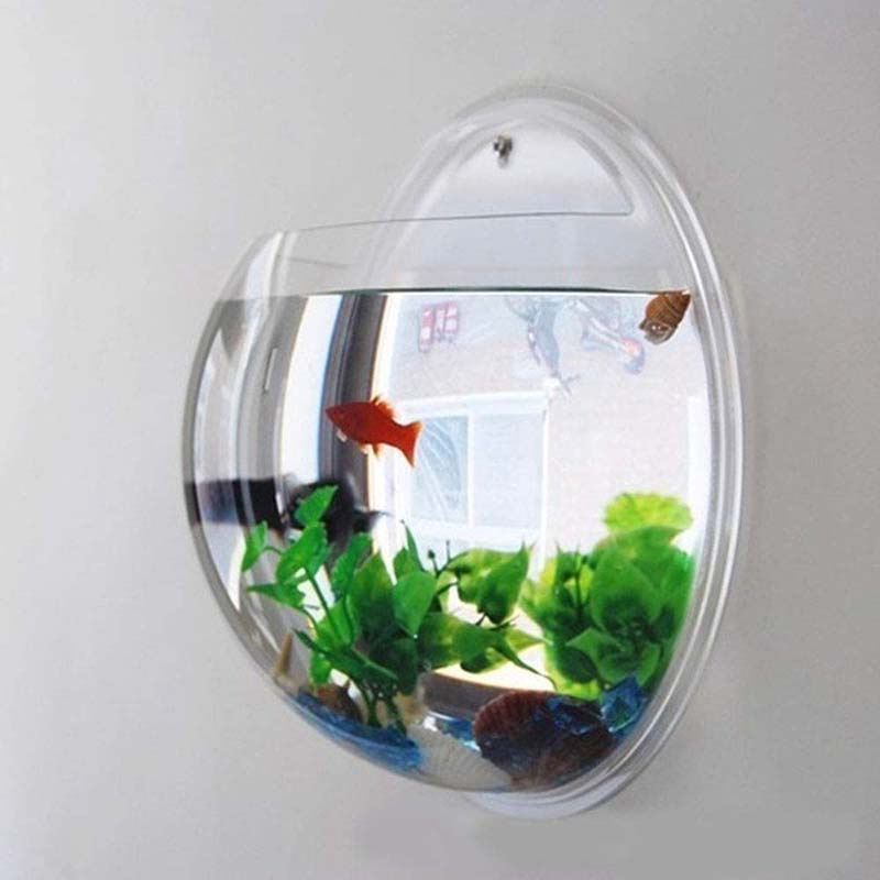 Bể cá treo tường / trồng cây bằng acrylic trang trí nhà đẹp mắt
