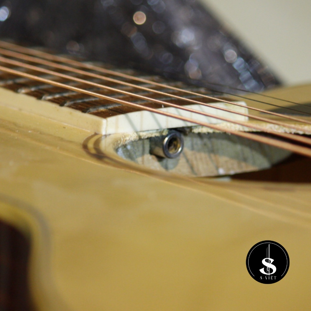Đàn guitar acoustic gỗ thịt, có ty, khóa đúc chính hãng S Việt mã CV135