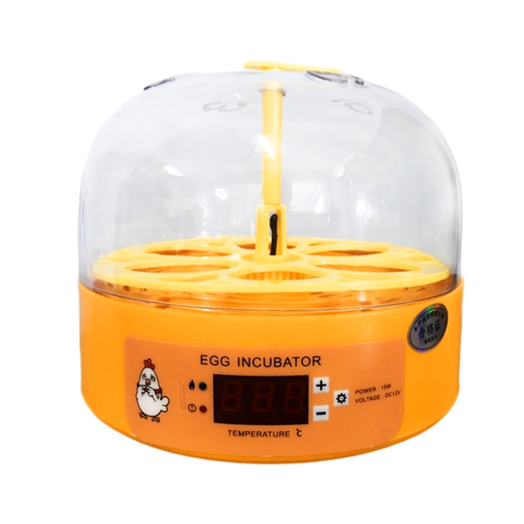 Máy ấp trứng mini tự động dành cho trẻ em