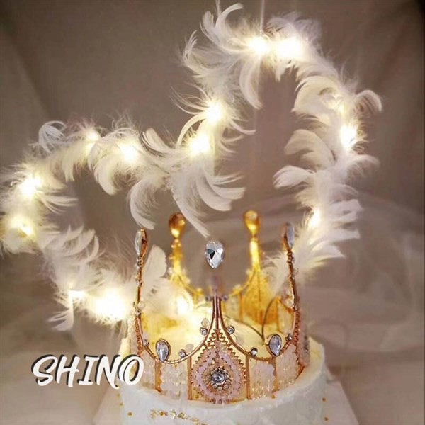 Vương miện trắng 10cm