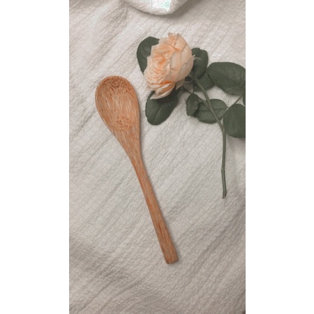 Combo Chén Gáo Dừa + Muỗng Dừa