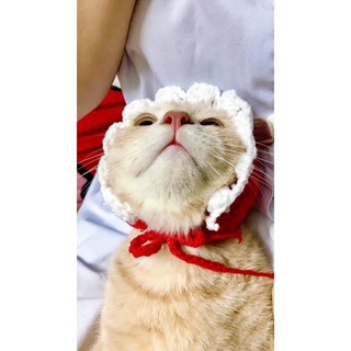 Mũ - Yếm len handmade cho mèo cute🧶🧵