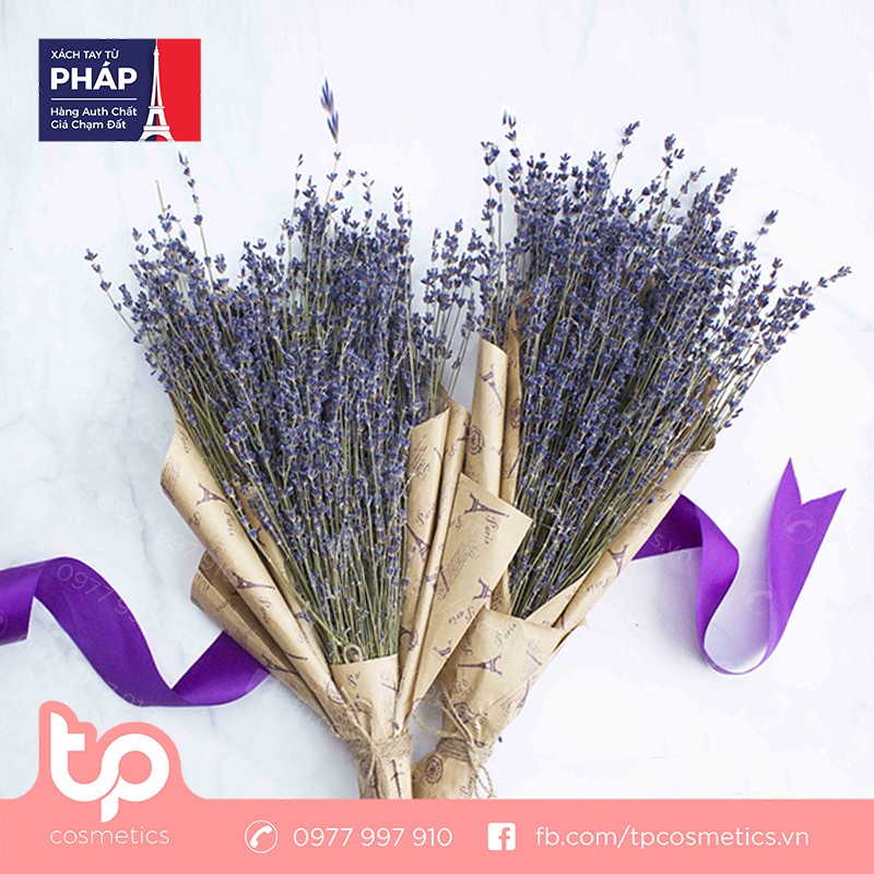 Bó Hoa Lavender Pháp