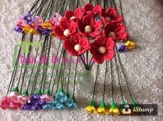 SỈ HOA DÂU TÂY