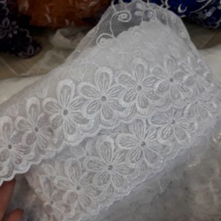 Ren phoi cao cap