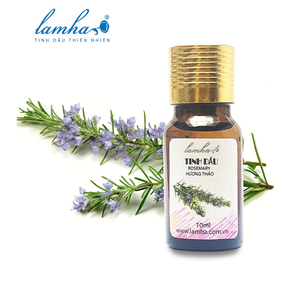 Tinh dầu Hương Thảo - Rosemary Lam Hà 10ml