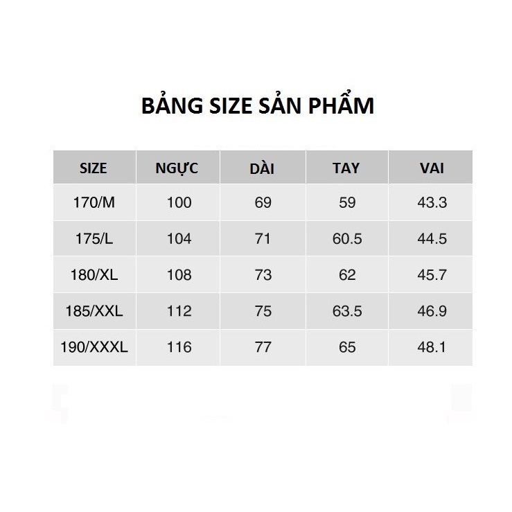 AN2892 Áo thun nam kẻ sọc cổ bẻ dài tay hàng nhập