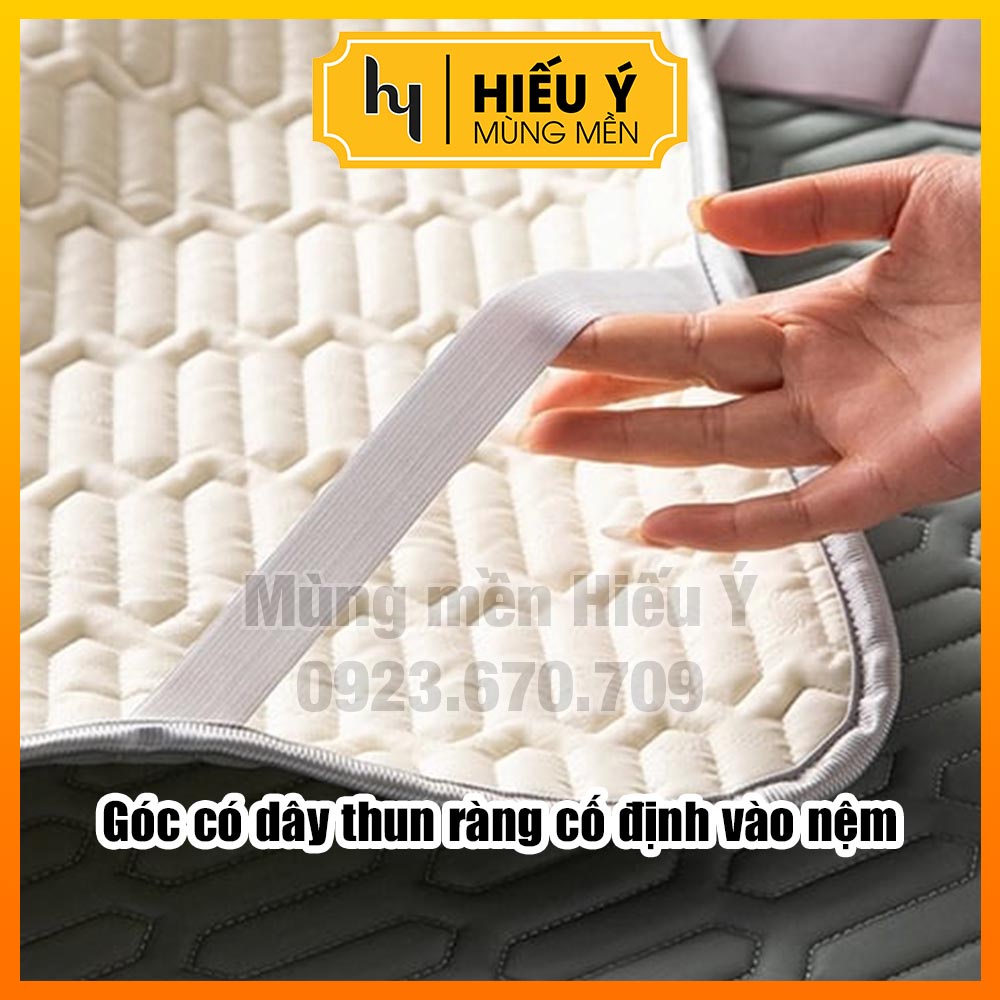 [KÈM 2 ÁO GỐI] Chiếu điều hòa cao su non 5D 1m6, 1m8 siêu mát | Mùng mền Hiếu Ý