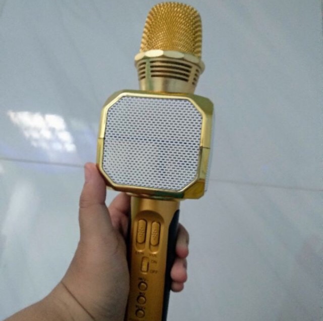 MIC KARAOKE KÈM LOA SD-10