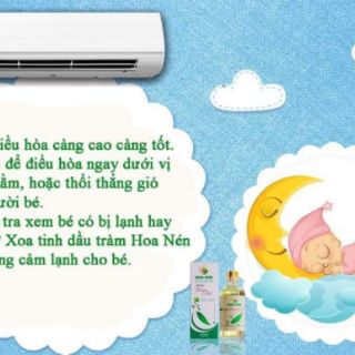 Tinh Dầu Tràm Huế Hoa Nén