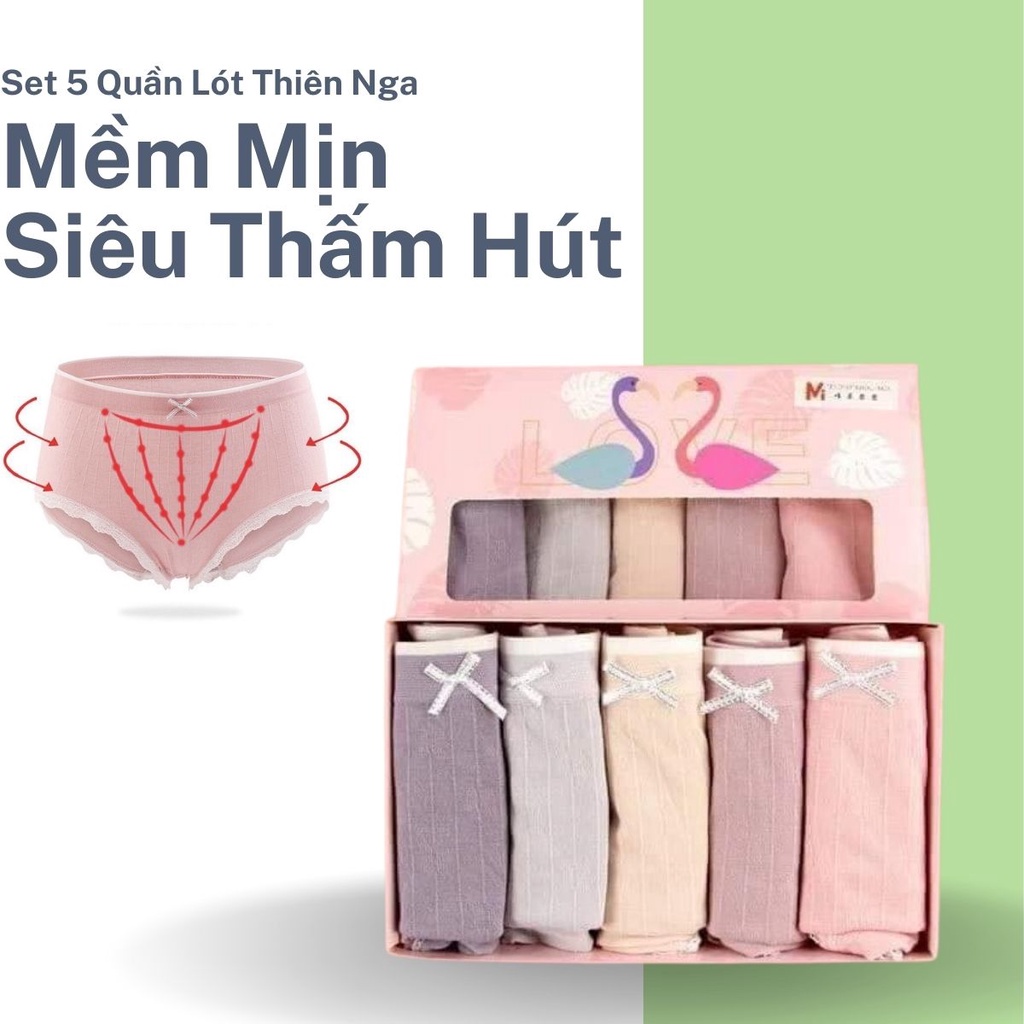 Hộp 5 Quần Lót Nữ Hình Thiên Nga Quần Xì Co Dãn Siêu Thấm Hút Nâng Mông Khán Khuẩn Mềm Mịn Agola_Shop