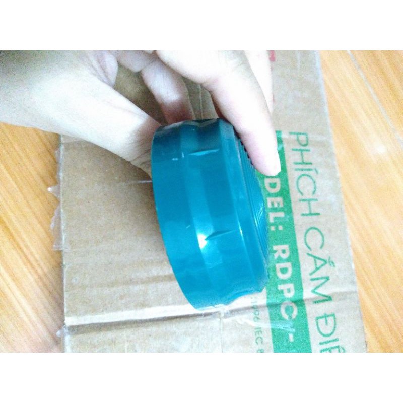 Nắp phích Rạng Đông 2L xuất khẩu 2035N1