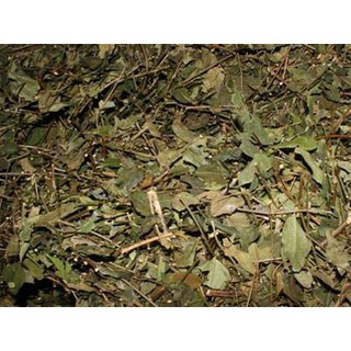 Chè vằng sẻ Nghệ An lợi sữa giảm cân - 1 kg