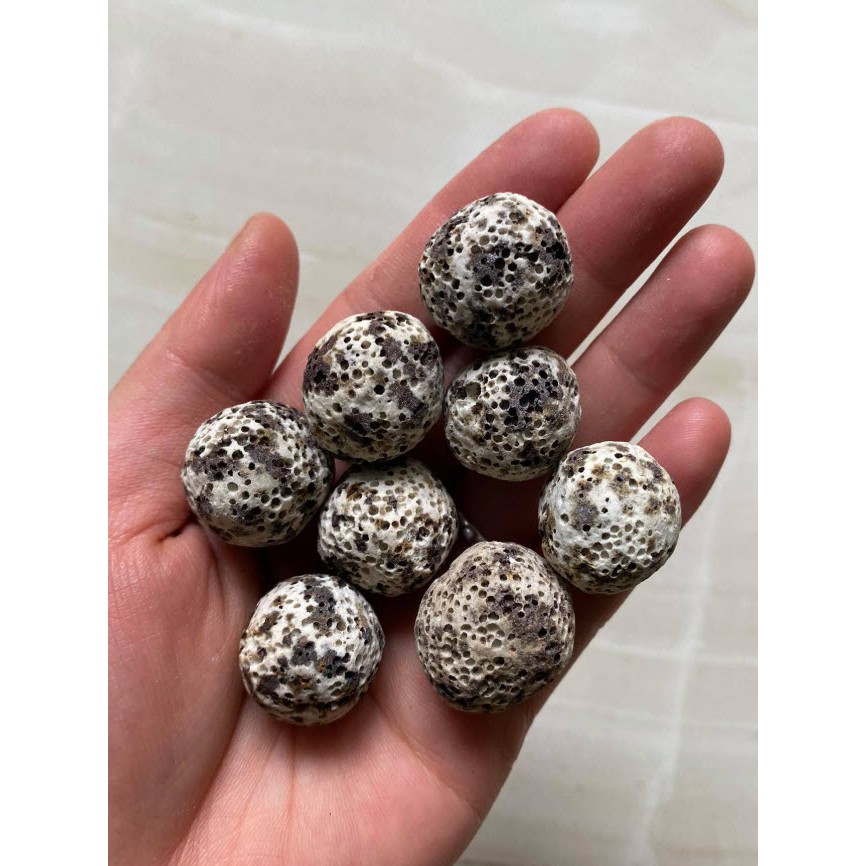 Sứ Bi Muối Tiêu 100Gr