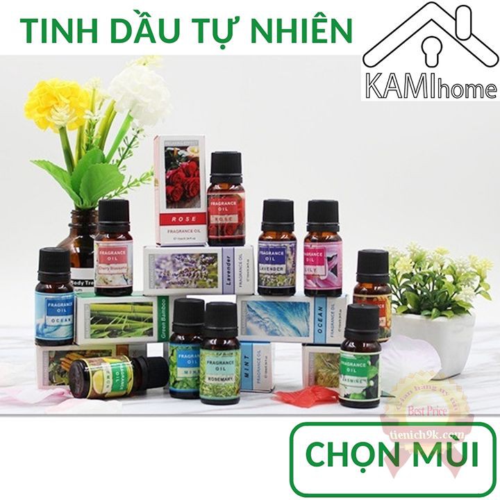 Tinh dầu thiên nhiên 10ml FraGrance cô đặc đuổi muỗi thơm phòng dùng cho đèn xông máy khuếch tán – Nhập Khẩu