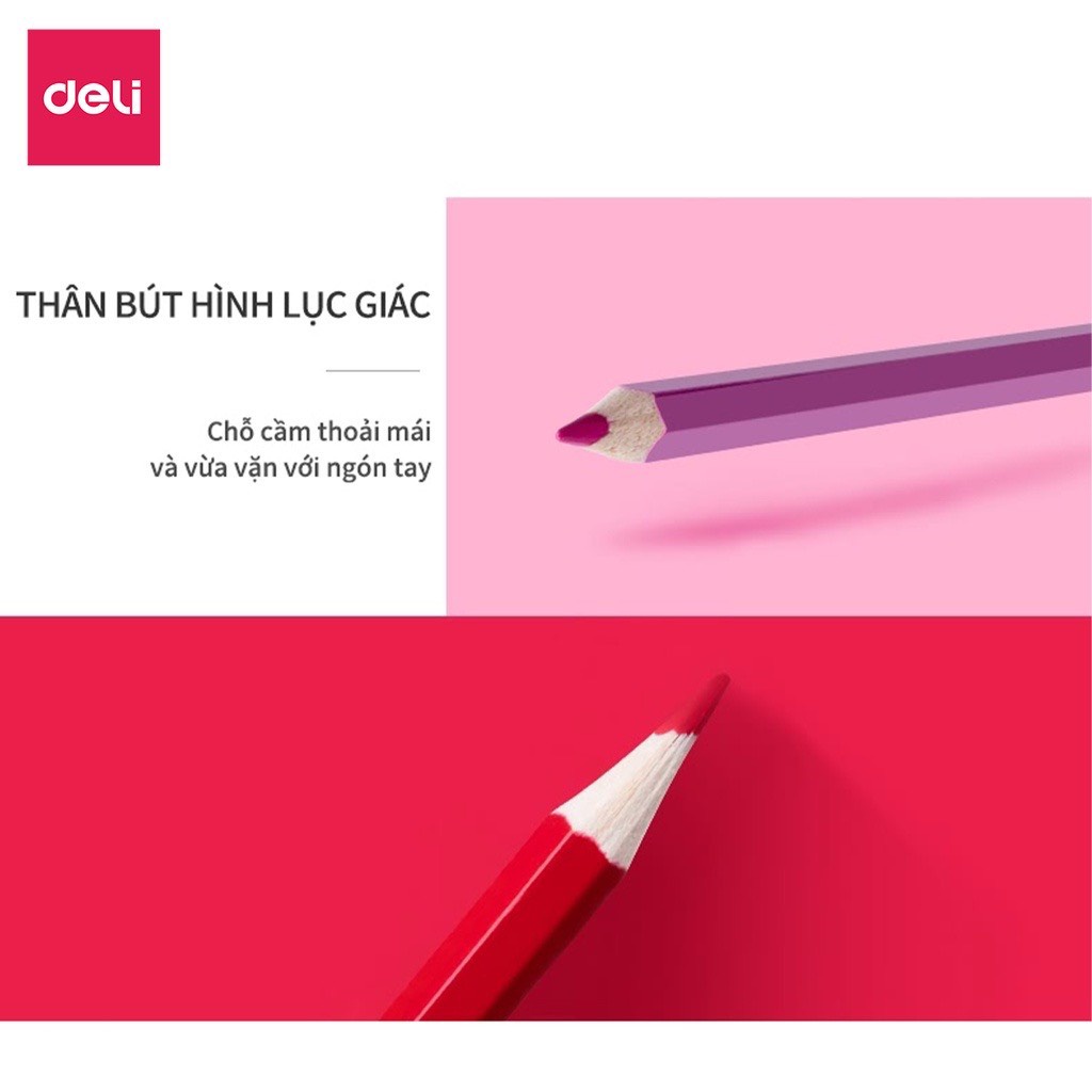 Bút chì màu dạng cốc học sinh Deli - 18/24/ 36 màu - 7013/7014/7015