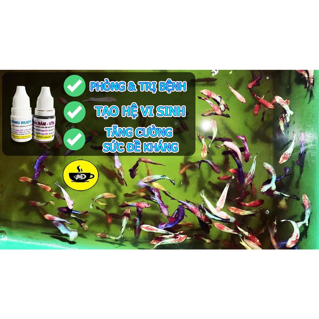 Ống trữ Artemia và cho cá ăn trực tiếp