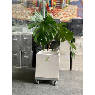 Chậu xi măng đá mài VUÔNG 25*25*25