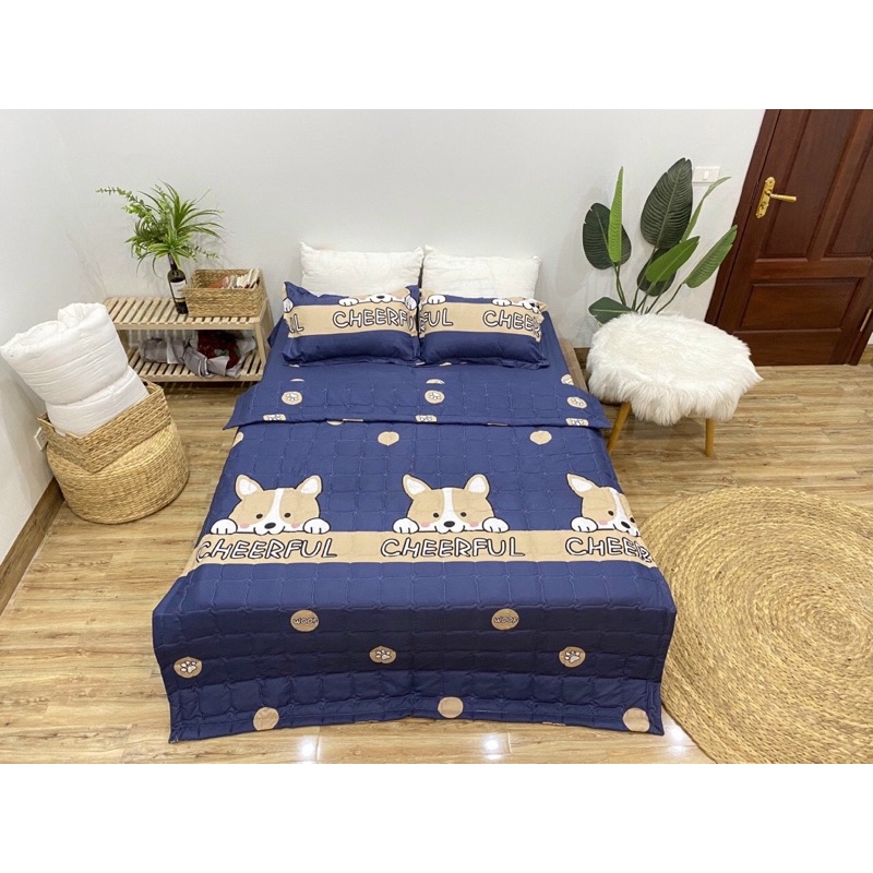 Bộ chăn ga gối hè cotton poly Boss Decor, chăn hè trần bông họa tiết mền đáng yêu