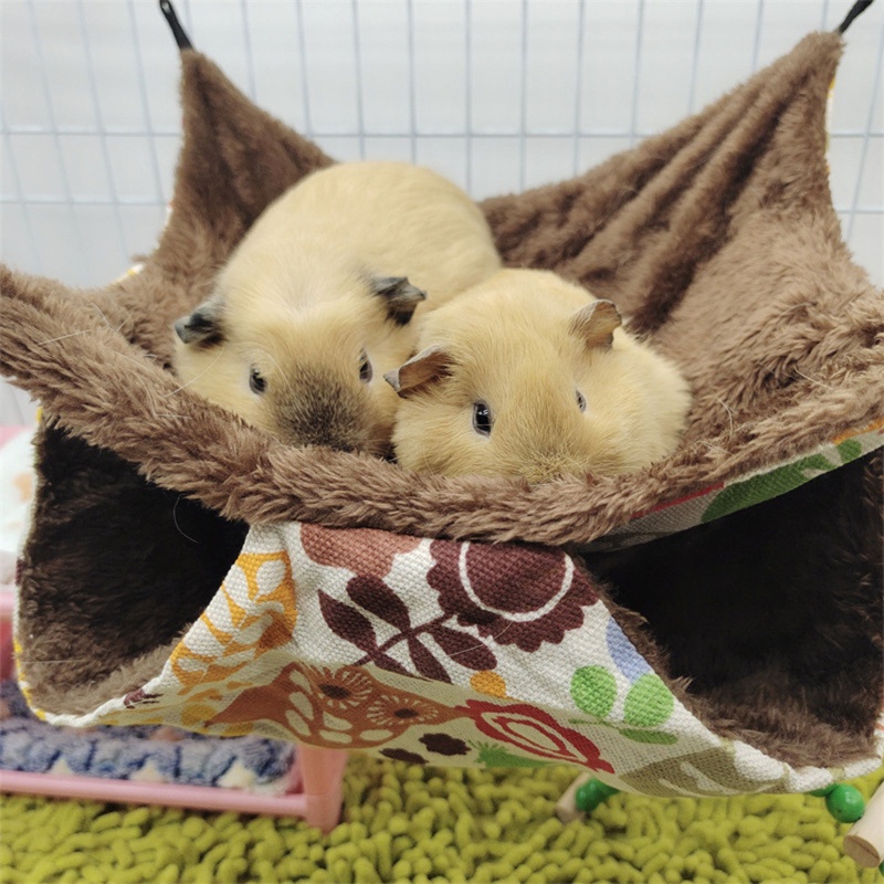 Võng 2 Tầng Ấm Áp Cho Chuột Hamster