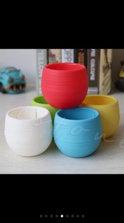 Chậu cây cảnh mini