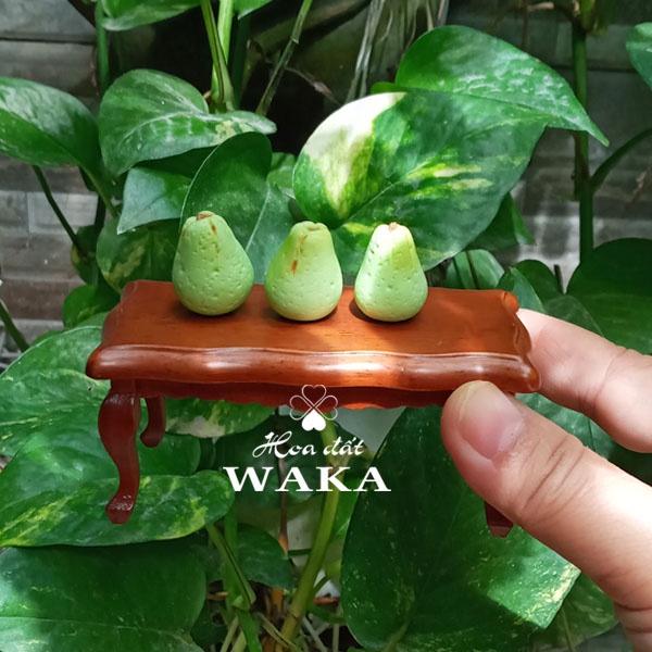 Set Tết- Cặp Bưởi Mini 01- Mô hình 1/12