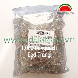 1000 bóng led trong Trắng 5mm