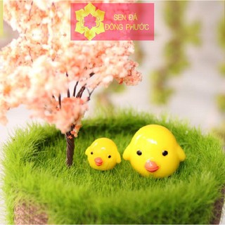 Phụ kiện làm tiểu cảnh sen đá xương rồng -Một đôi chim non